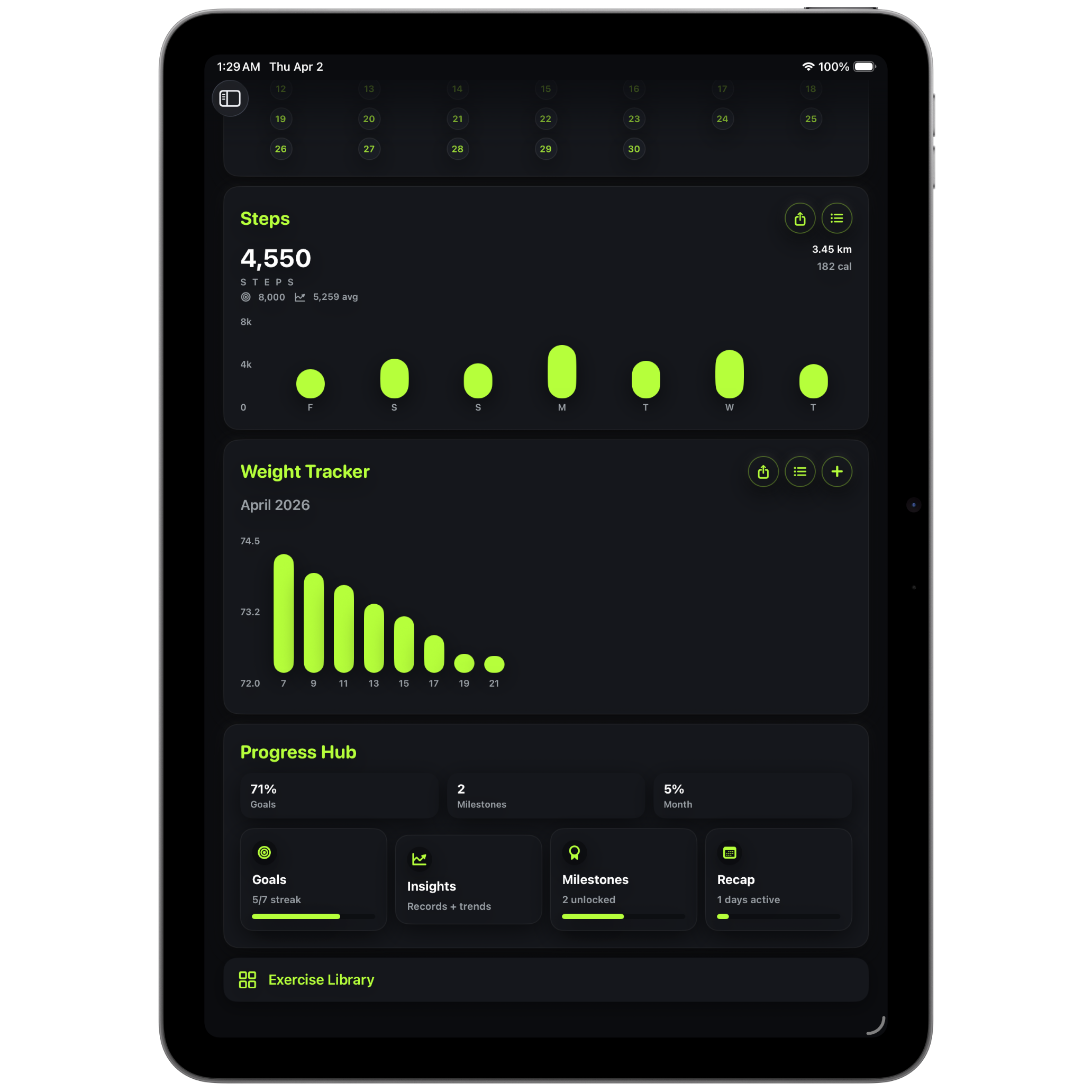 iPad